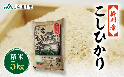 掛川産こしひかり 精米 5kg【配送不可地域：離島・沖縄県】【1692663】