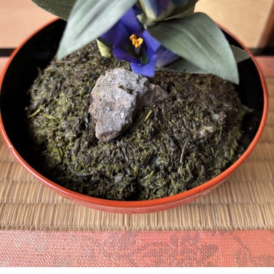 ãæ¥ æ¡ãåå£ã圩ãåµäœèãã®çæ œ(å·¥èžå)ãå·¥æ¿ æ€¿ãé
éäžå¯å°åïŒé¢å³¶ã»åæµ·éã»æ²çžçãã1598557ã