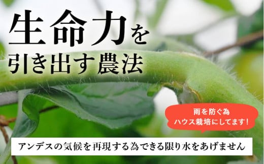 ãç¹éžãããã çŸå³ãããŒã«ç»å Žããããããæ¡å€ªéã16ã25ç ã©ã³ã¯:ç¹éžãç³åºŠ9床以äžãé
éäžå¯å°åïŒé¢å³¶ã»æ²çžçãã1604229ã