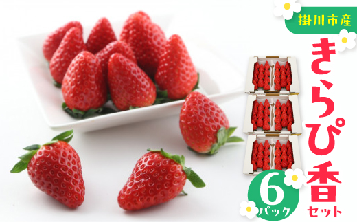 きらぴ香セット(6パック)【配送不可地域：離島・北海道・沖縄県・四国・九州】【1676945】