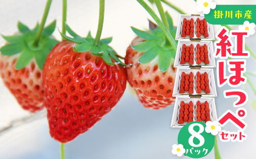 紅ほっぺセット(8パック)【配送不可地域：離島・北海道・沖縄県・四国・九州】【1676931】