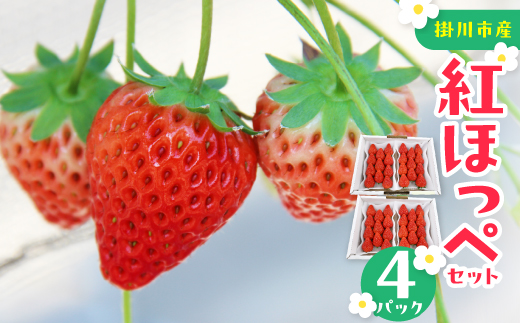 紅ほっぺセット(4パック)【配送不可地域：離島・北海道・沖縄県・四国・九州】【1676900】