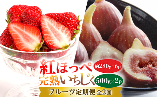 【発送月固定定期便】静岡県掛川市産 ミズノ農園 紅ほっぺ280g×6・完熟いちじくDXパック全2回【配送不可地域：離島・北海道・沖縄県・東北・四国・九州】【4086594】