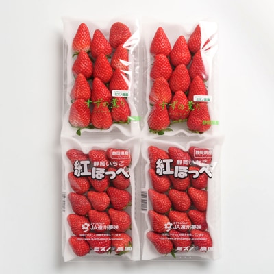 静岡県掛川市産　ミズノ農園の完熟いちご「紅ほっぺ」「すずの薫り」2種各2パック食べ比べセット【配送不可地域：離島・北海道・沖縄県・東北・中国・四国・九州】【1490920】