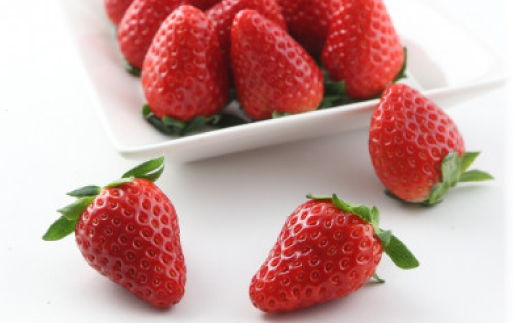 紅ほっぺ・きらぴ香食べ比べ(各2パック計4パック　約1040g) 掛川市人気のいちごセット【配送不可地域：離島・北海道・沖縄県・四国・九州】【1676911】