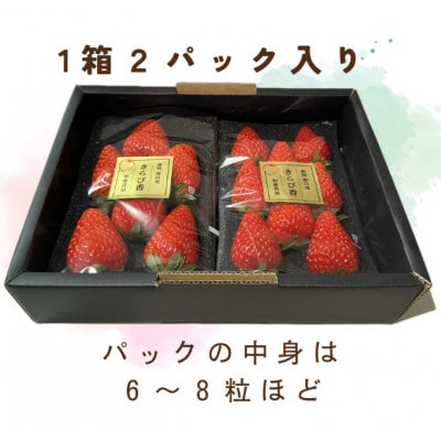 【先行受付】いちご【きらぴ香】1箱 (1箱2パック入り 約250g×2)【配送不可地域：離島・北海道・沖縄県・四国・九州】【1634076】