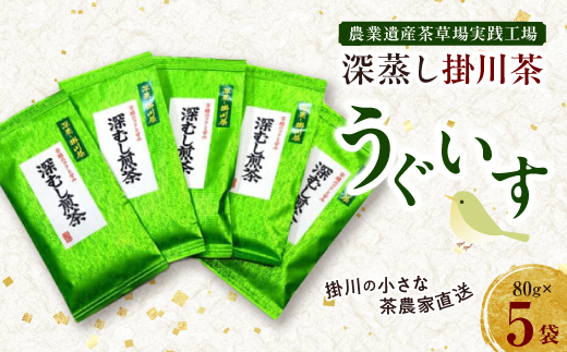掛川の小さな茶農家直送　農業遺産茶草場実践工場　 深蒸し掛川茶『うぐいす』80g×5袋【配送不可地域：離島・沖縄県】【1585036】