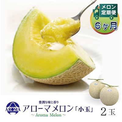 【毎月定期便】アローマメロン(小玉) 2玉 全6回【配送不可地域：離島・北海道・沖縄県】【4013011】