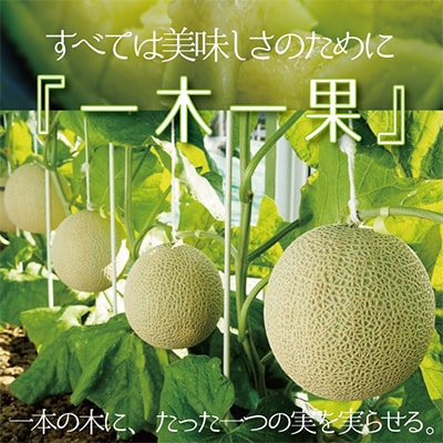 ãæ¯æå®æäŸ¿ã ã¯ã©ãŠã³ã¡ãã³ çœççŽ 1ç é岡çç£ é«çŽ ãã¹ã¯ã¡ãã³ã1幎äžãå±ãã å
š3åãé
éäžå¯å°åïŒé¢å³¶ã»åæµ·éã»æ²çžçãã4012621ã