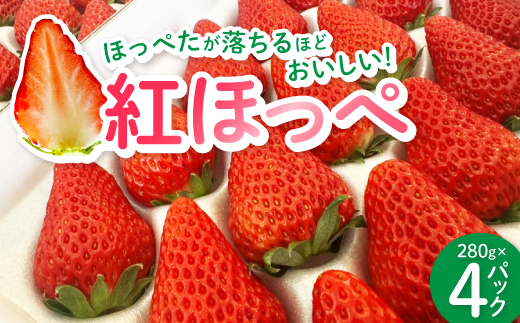 紅ほっぺ280g×4パック　おいしい完熟いちご【配送不可地域：離島・北海道・沖縄県・四国・九州】【1710614】