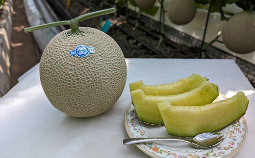 é岡枩宀ãã¹ã¯ã¡ãã³ ã¢ããŒãå°ãããããçœçŽçŽ1.45kg以äžã1çãé
éäžå¯å°åïŒé¢å³¶ã»åæµ·éã»æ²çžçãã1502104ã