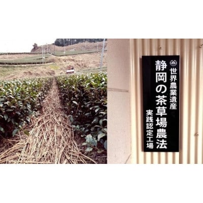 æå·ã®å°ããªè¶èŸ²å®¶çŽé 蟲æ¥éºç£è¶èå Žå®è·µå·¥å Ž æ·±èžãæå·è¶ãããããã 200gÃ2ãé
éäžå¯å°åïŒé¢å³¶ã»æ²çžçãã1674940ã