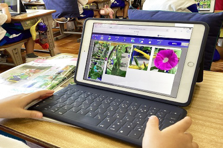 （５）教育又は文化の振興及び人材育成