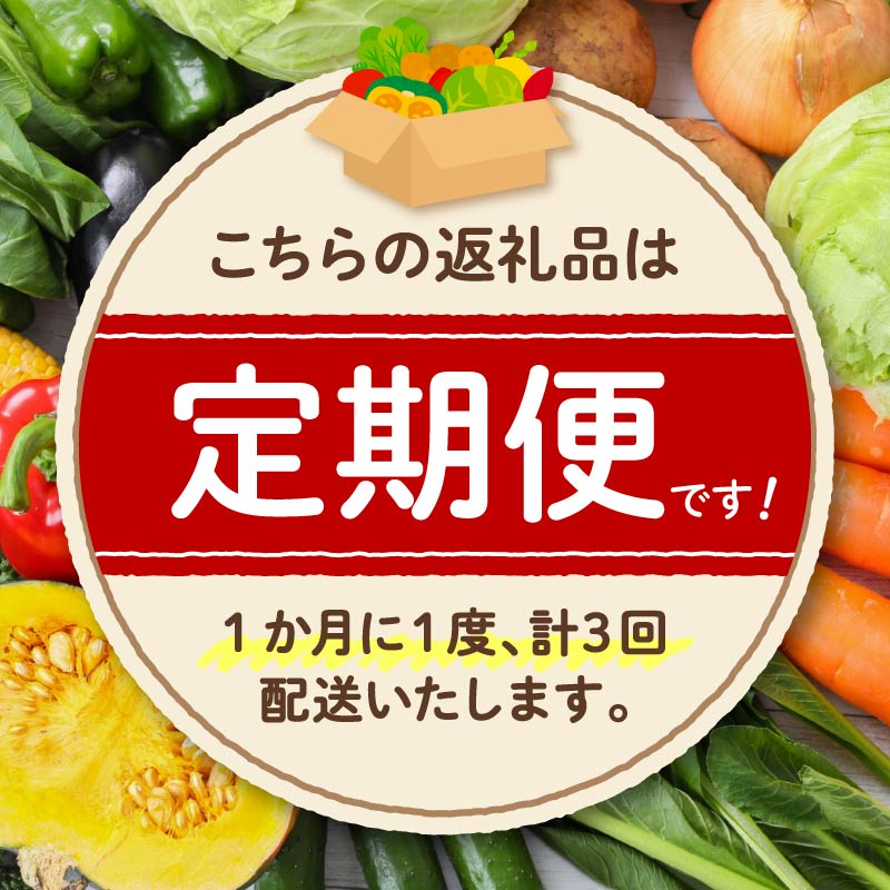 【 全3回定期便 】 野菜 詰め合わせ 産地 直送 6 ~ 8種 減農薬 栽培 旬 採れたて やさい お試し 一人暮らし ふたり人暮し 健康 食材 ハーフセット 静岡県 藤枝市 