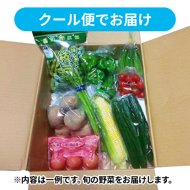 【 全6回定期便 】 野菜 詰め合わせ 産地 直送 10~ 14種 減農薬 栽培 旬 採れたて やさい 家庭用 健康 食材 静岡県 藤枝市 