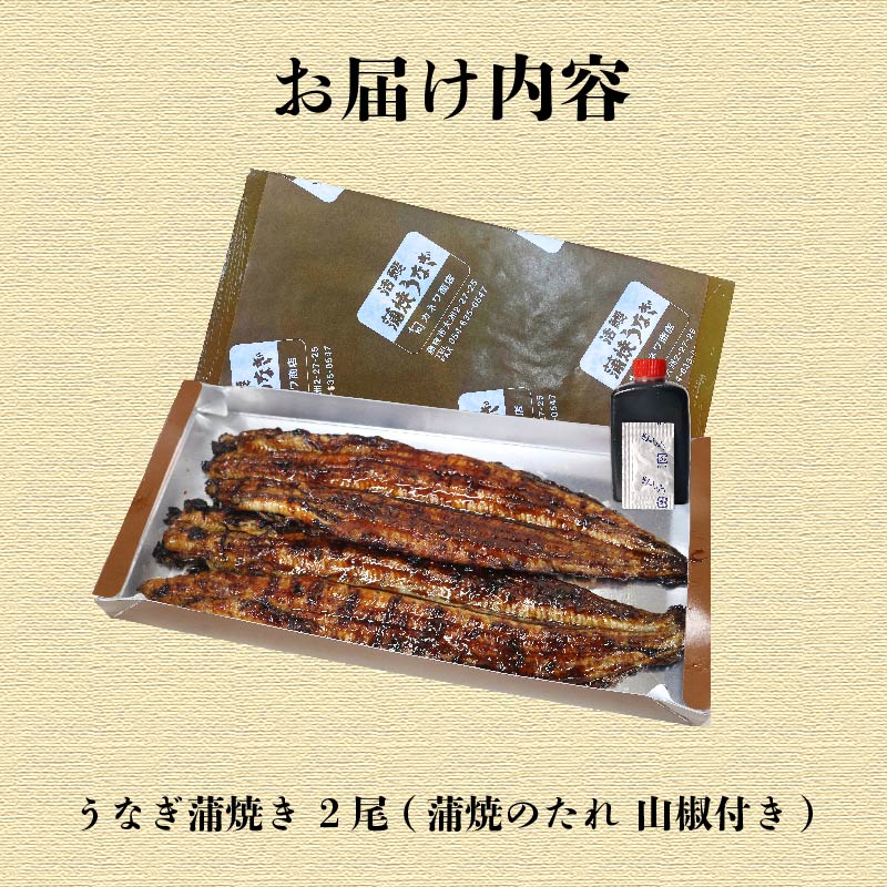 うなぎ 蒲焼 2尾 (140g ×2)  鰻蒲焼 ウナギ かばやき 土用 丑の日  活鰻 自家製蒲焼 たれ 山椒 ギフト 贈答   冷蔵 まとめ買い 静岡県 藤枝 ふるさと人気