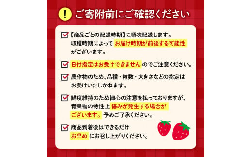 【先行予約 : 2025年1月～2025年2月発送予定 】 いちご きらぴ香 約1kg 約250g×4パック 朝どれ 完熟 苺 産地 直送 フレッシュ イチゴ 贈答 フルーツ 果物 国産 静岡県 藤枝市 ふるさと人気 ふるさとおすすめ