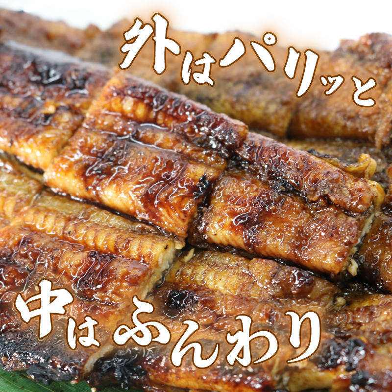 【全3回定期便】 うなぎ 蒲焼 大姿焼き 2尾 (140g×2) 定期便 鰻蒲焼 ウナギ かばやき 土用 丑の日 活鰻 自家製蒲焼 たれ 山椒 ギフト 贈答 冷蔵 まとめ買い 静岡県 藤枝 ふるさと人気