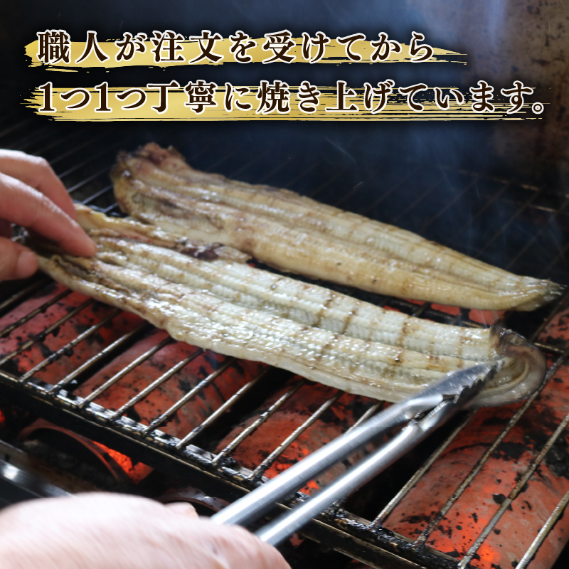 【全3回定期便】 うなぎ 蒲焼 大姿焼き 2尾 (140g×2) 定期便 鰻蒲焼 ウナギ かばやき 土用 丑の日 活鰻 自家製蒲焼 たれ 山椒 ギフト 贈答 冷蔵 まとめ買い 静岡県 藤枝 ふるさと人気