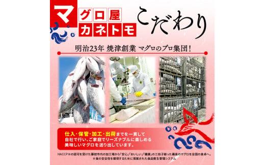 訳あり 本まぐろ 赤身 約500g 不定型柵 本鮪 まぐろ 赤身 解凍 鮪 漬け マグロ ユッケ 海鮮 本マグロ