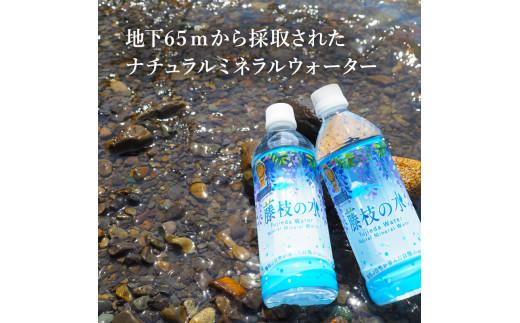 水 500ml 24本 ナチュラル ミネラル ウォーター モンド セレクション 金賞受賞 天然水 飲料 2年間 保存 常備水 藤枝の水 防災  災害 常備 飲料水 備蓄