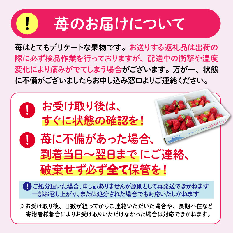 【先行予約 2025年4月より順次発送予定】 いちご 2種 2kg 以上 苺 旬 産地 直送 フレッシュ イチゴ 紅ほっぺ 章姫 きらぴ香 かおりの フルーツ 果物 国産 ジャパン ベリー 静岡県 藤枝市 