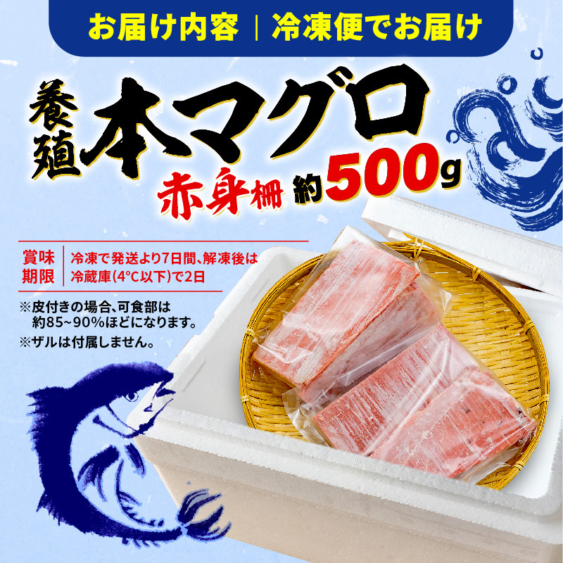 訳あり 本まぐろ 赤身 約500g 不定型柵 本鮪 まぐろ 赤身 解凍 鮪 漬け マグロ ユッケ 海鮮 本マグロ