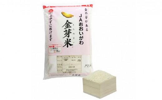 お米 金芽米 5kg お茶 80g セット きぬむすめ 無洗米 静岡県産 5キロ ごはん ご飯 精米 白米 食品