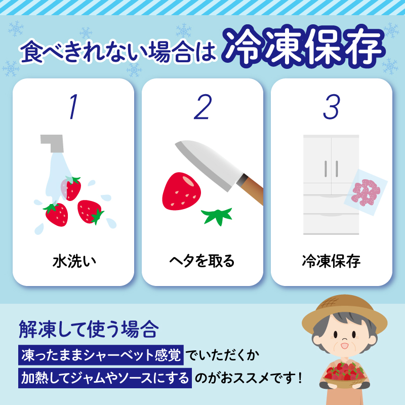 【先行予約 2025年4月より順次発送予定】 いちご 2種 2kg 以上 苺 旬 産地 直送 フレッシュ イチゴ 紅ほっぺ 章姫 きらぴ香 かおりの フルーツ 果物 国産 ジャパン ベリー 静岡県 藤枝市 