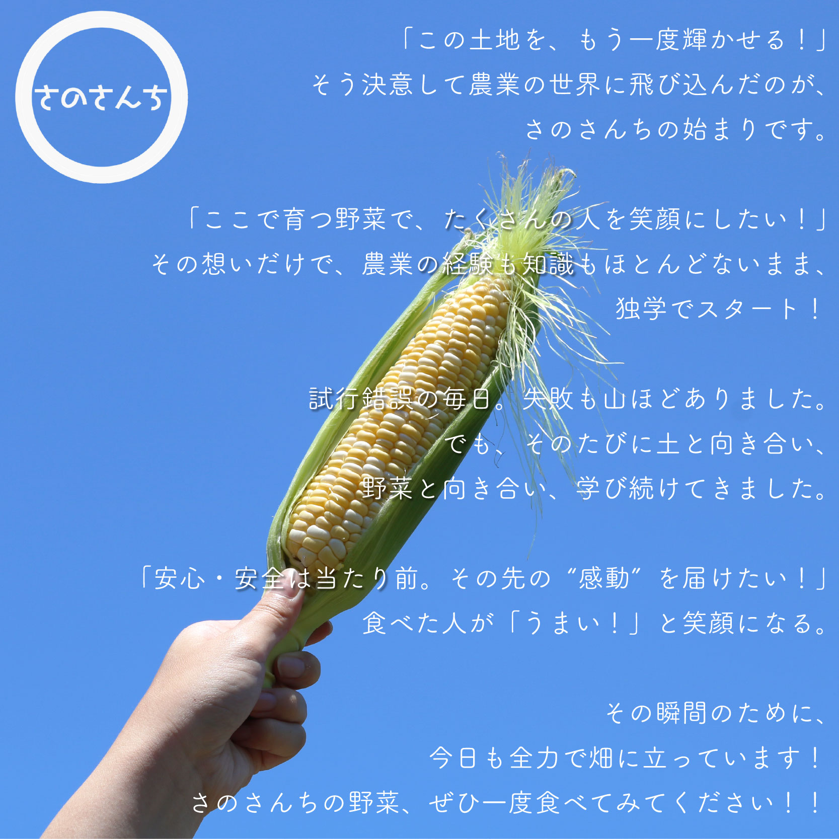 也ç¥ãã¯ã©ã² 25g 6è¢ ãããã äžžå¹²ã æšè³ ãã®ããã¡ ãã®ã å®å¿ å®å
š JGAPèªèšŒèŸ²å Ž åœç£ å°åã ãã㳠調ç ç°¡å äŸ¿å© é岡ç è€æåž