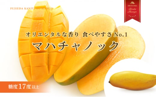 マンゴー 完熟 2kg 糖度 17 以上 厳選 フルーツ 果物 国産 完熟