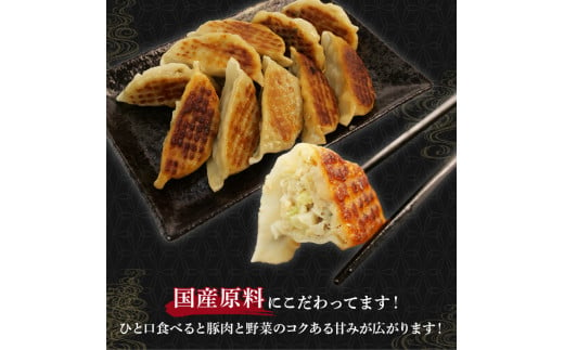 餃子 120個 国産野菜 国産豚肉 冷凍 餃子 大きめ ぎょうざ ギョウザ ギョーザ おつまみ 冷凍食品 食品 惣菜 中華 惣菜 業務用 おかず ビール  ( 冷凍餃子 大容量餃子 国産原料餃子 簡単調理餃子 ぎょうざ ギョーザ）