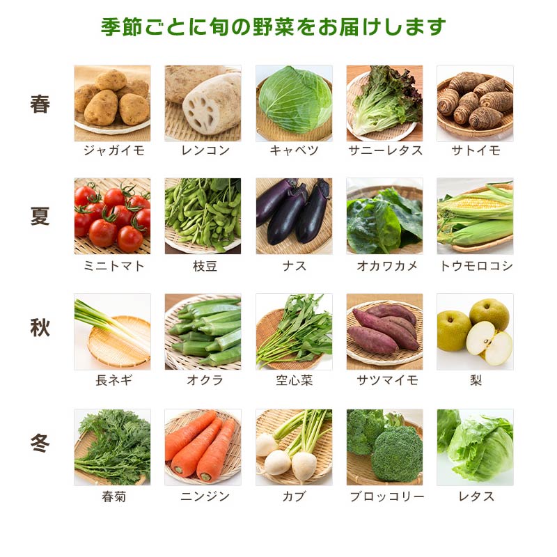 【 全6回定期便 】 野菜 詰め合わせ 産地 直送 6 ~ 8種 減農薬 栽培 旬 採れたて やさい お試し 一人暮らし ふたり暮らし 健康 食材 ハーフセット 静岡県 藤枝市 