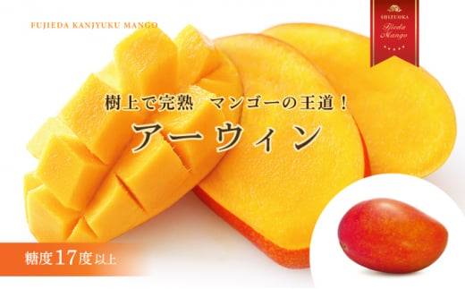 マンゴー 完熟 2kg 糖度 17 以上 厳選 フルーツ 果物 国産 完熟