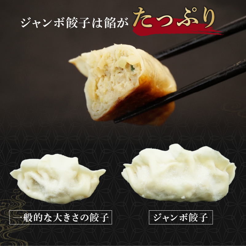 餃子 定期便 全4回 餃子 シュウマイ 詰め合わせ 国産野菜 国産豚肉 冷凍 餃子 ぎょうざ ギョーザ しゅうまい シューマイ 焼売 おつまみ 冷凍食品 食品 惣菜 中華 惣菜 業務用 おかず ビール