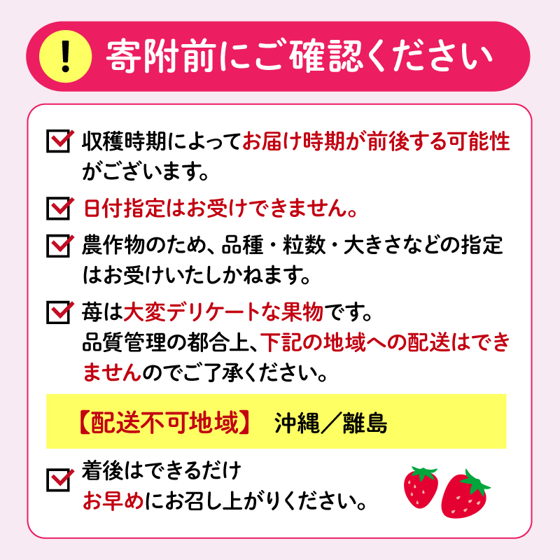 【先行予約 2025年4月より順次発送予定】 いちご 2種 2kg 以上 苺 旬 産地 直送 フレッシュ イチゴ 紅ほっぺ 章姫 きらぴ香 かおりの フルーツ 果物 国産 ジャパン ベリー 静岡県 藤枝市 