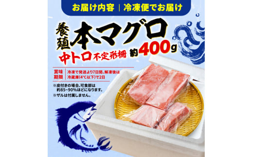 訳あり 本まぐろ 中とろ 刺身用 約400g 年内配送 不定型柵 本鮪 まぐろ 中トロ 解凍 鮪 漬け マグロ ユッケ 海鮮 本マグロ