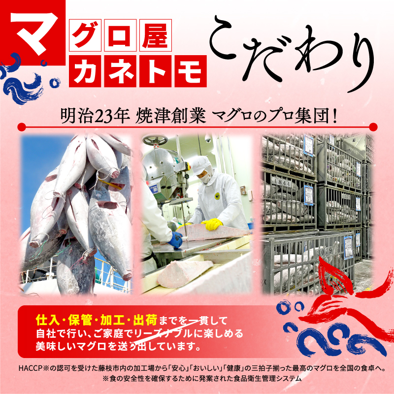 【3回定期便】 マグロ 刺身 食べ比べ 大トロ 中トロ 赤身 約 300g 本まぐろ 本鮪 本マグロ 大とろ 中とろ 赤身 解凍 漬け鮪 海鮮 カネトモ 静岡県 藤枝市