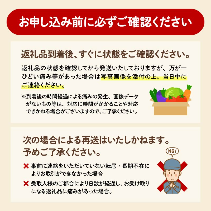 【 全6回定期便 】 野菜 詰め合わせ 産地 直送 10~ 14種 減農薬 栽培 旬 採れたて やさい 家庭用 健康 食材 静岡県 藤枝市 