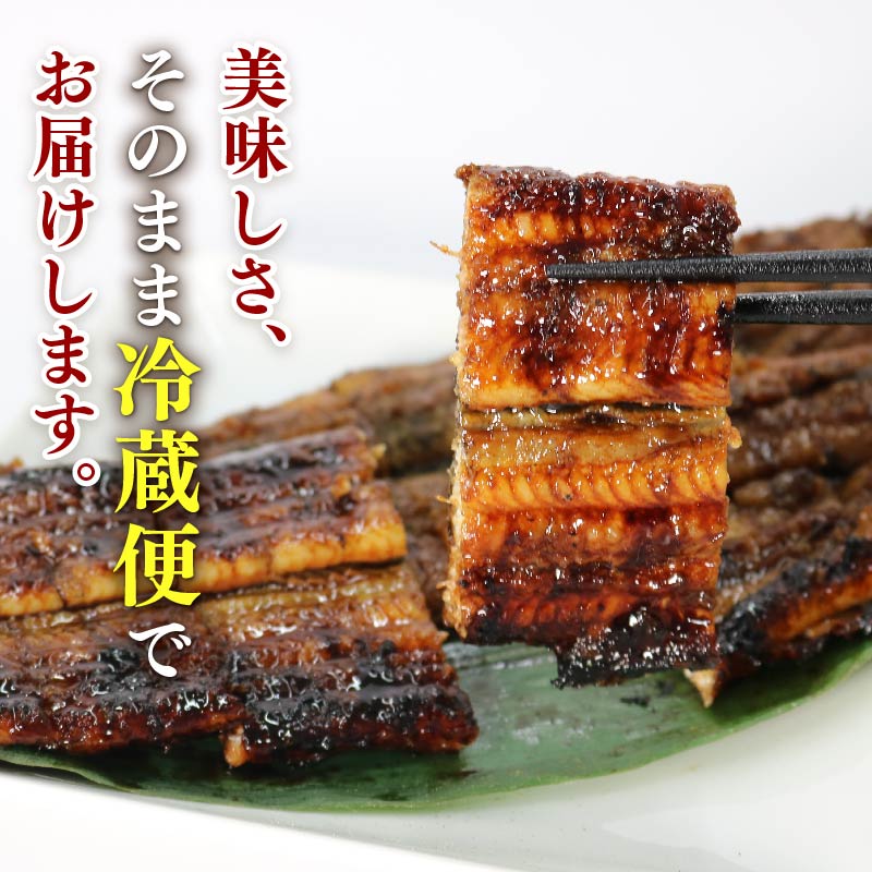 うなぎ 蒲焼 2尾 (140g ×2)  鰻蒲焼 ウナギ かばやき 土用 丑の日  活鰻 自家製蒲焼 たれ 山椒 ギフト 贈答   冷蔵 まとめ買い 静岡県 藤枝 ふるさと人気