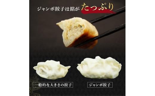 餃子 シュウマイ 4種 詰め合わせ 国産野菜 国産豚肉 冷凍 餃子 ぎょうざ ギョーザ しゅうまい シューマイ 焼売 おつまみ 冷凍食品 食品 惣菜 中華 惣菜 業務用 おかず ビール