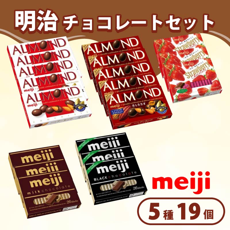 《 明治 なるほどファクトリー 東海 》 チョコレート セット Dセット 5種類 19個入  静岡県 藤枝市 人気お菓子 ふるさと納税お菓子 ふるさとお菓子 furusatoお菓子 おすすめお菓子 送料無料お菓子 静岡県 藤枝市