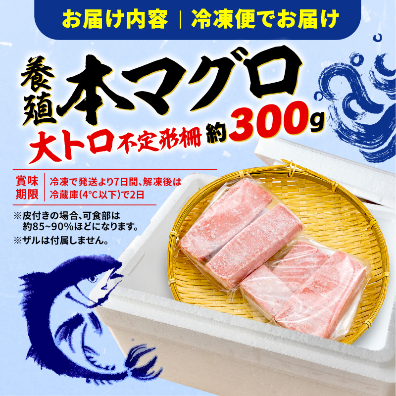 訳あり 大とろ 本まぐろ 約300g 不定型柵 本鮪 まぐろ 大トロ とろ 解凍 鮪 漬け マグロ ユッケ 海鮮 本マグロ