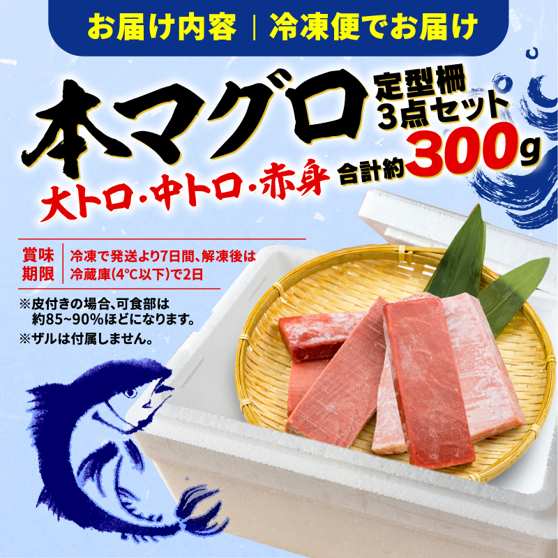 【3回定期便】 マグロ 刺身 食べ比べ 大トロ 中トロ 赤身 約 300g 本まぐろ 本鮪 本マグロ 大とろ 中とろ 赤身 解凍 漬け鮪 海鮮 カネトモ 静岡県 藤枝市
