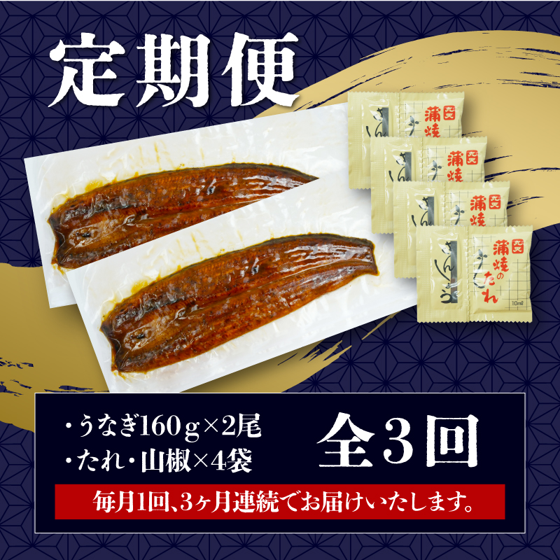 定期便 全3回 うなぎ 国産 蒲焼 160g × 2尾 計320g 鰻蒲焼 ウナギ 土用 丑の日 JAS認定 活鰻 自家製蒲焼のたれ 山椒 ギフト 贈答 冷凍 養殖 真空パック レンジ 調理 湯煎 まとめ買い 静岡県 藤枝