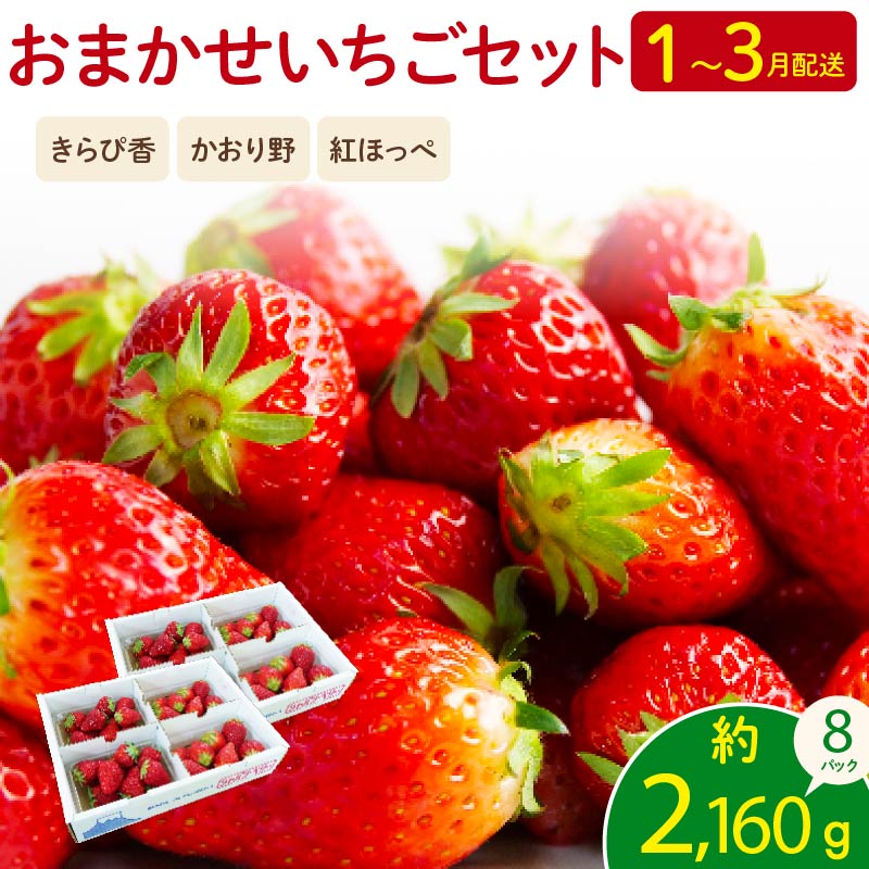 【先行予約 2026年01月より順次発送】 いちご  2kg 以上 おまかせ 苺 旬 産地 直送 フレッシュ イチゴ 紅ほっぺ  きらぴ香 かおり野 フルーツ 果物 国産 ジャパン ベリー オンライン決済限定 静岡県 藤枝市