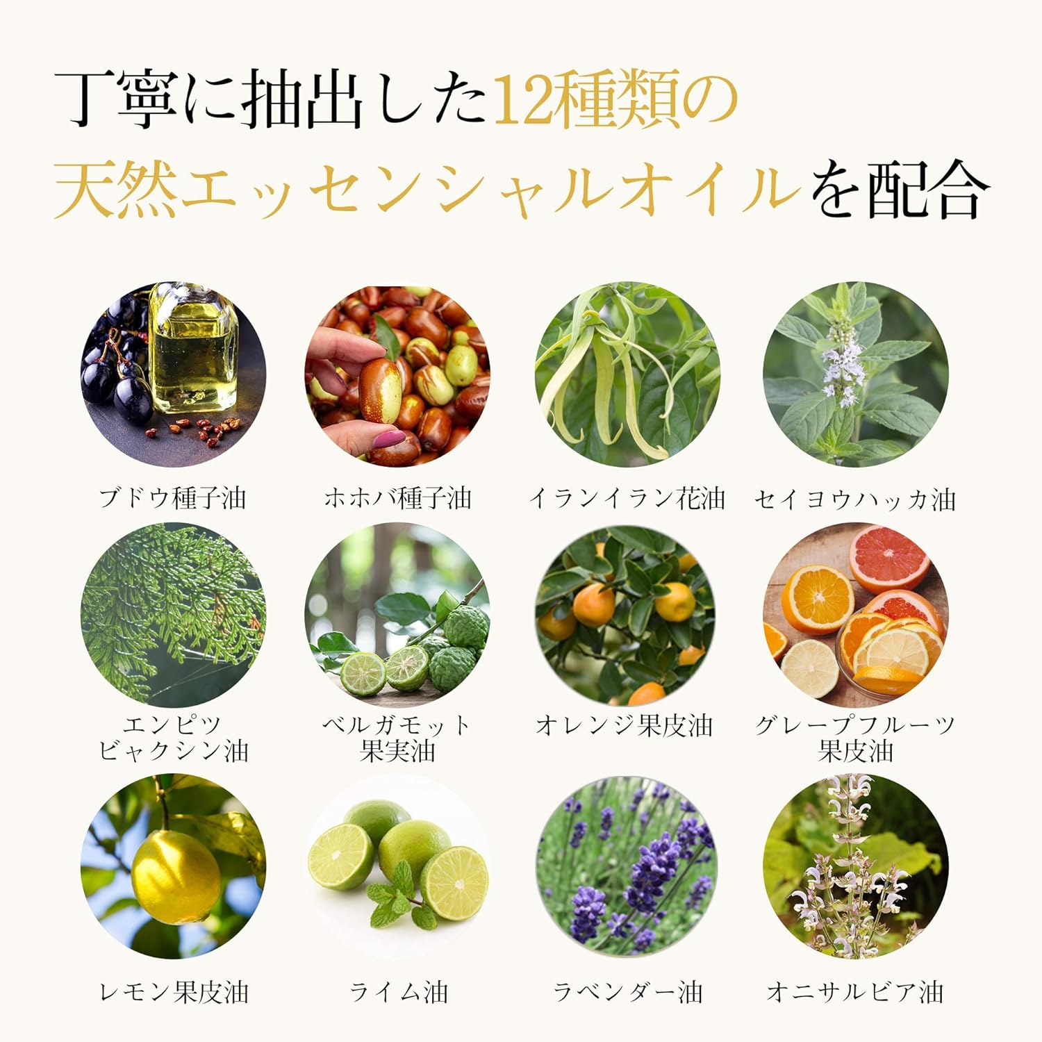 ãã¢ãªã€ã« ãã£ãŒãã¢ã€ã¹ã MOGANS æé« ãé¢šå æ¥çšå ãã¢ã±ã¢ ãªã€ã« è¶ æ€ç©æ§ ä¿æ¹¿ çŸå®¹ çŸé«ª ã°ã㺠ãã¹çšå é岡ç è€æåž