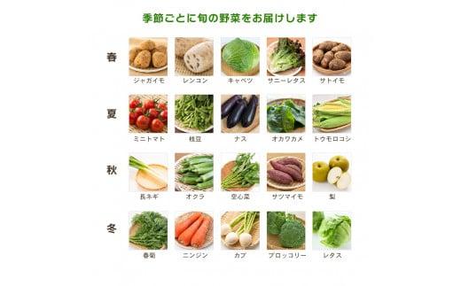 【2023年9月中旬以降より順次発送】 野菜 詰め合わせ ハーフセット 減農薬 6~8種類 農家 直送 旬 採れたて やさい お試し 野菜 炒め 野菜 スープ 野菜 健康