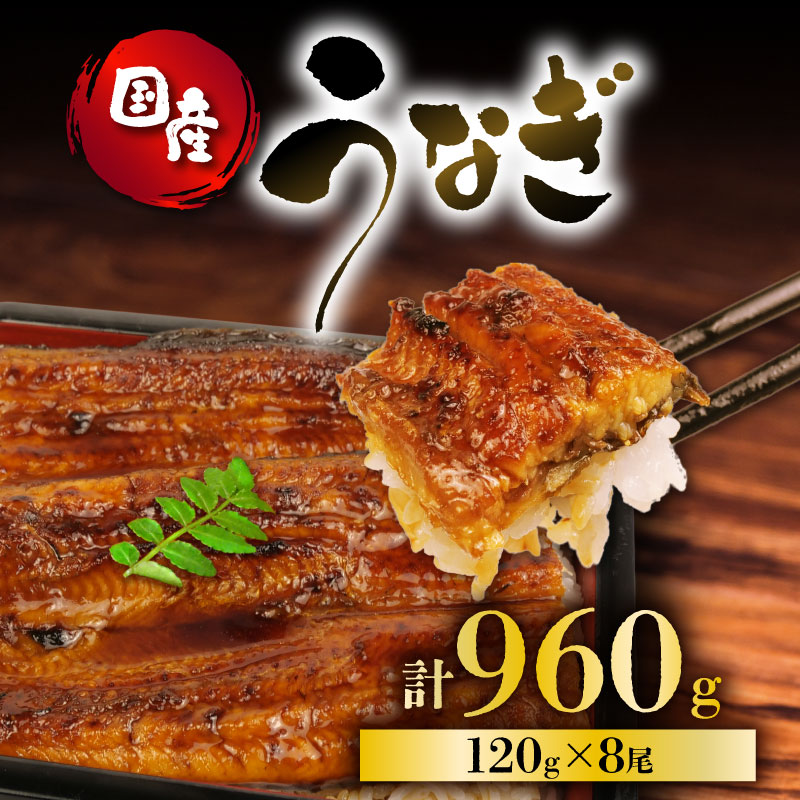 うなぎ 国産 蒲焼 120g × 8尾 計960g 鰻蒲焼 ウナギ 土用 丑の日 JAS認定 活鰻 特製無添加たれ 山椒 ギフト 贈答 冷凍 養殖 真空パック レンジ 調理 湯煎 まとめ買い 静岡県 藤枝