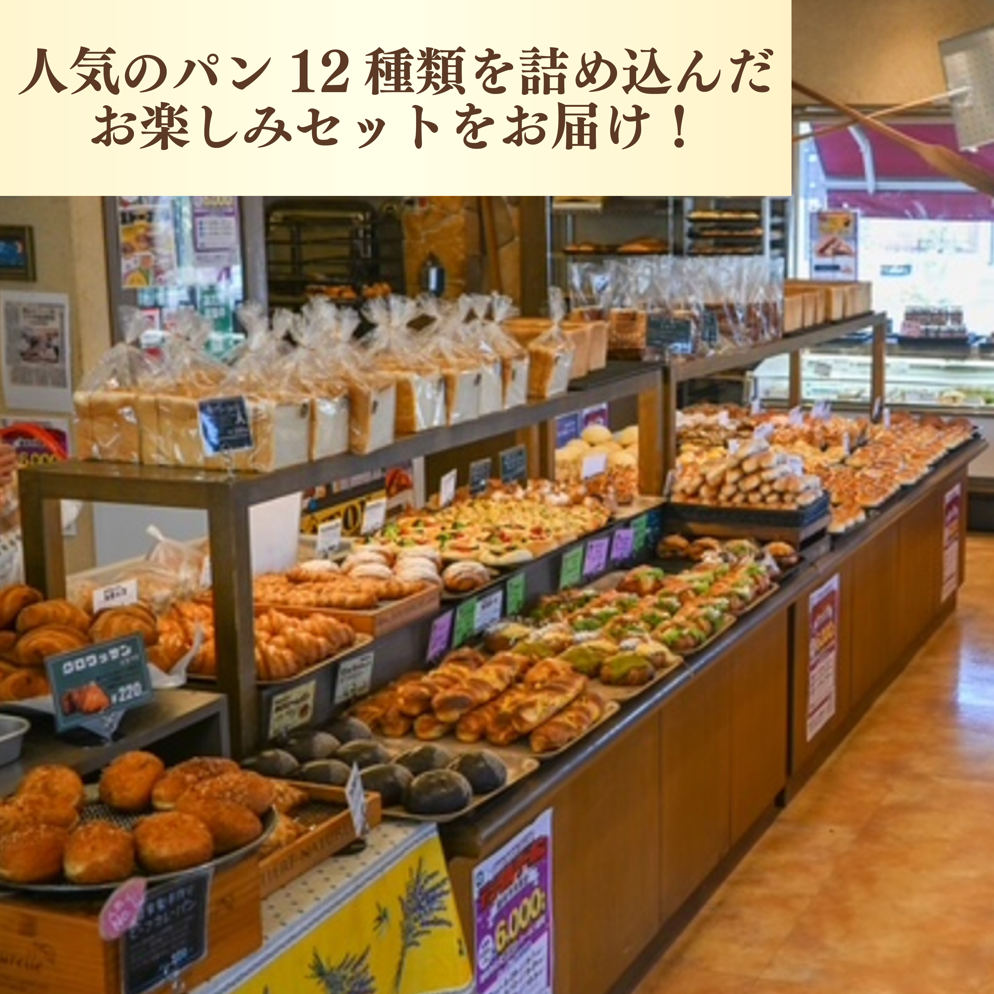 【種類はおまかせ】 冷凍 パン 12種類 セット カレーパン 惣菜パン 菓子パン ハード 食品 冷凍 温めるだけ おまかせ 冷凍パン おまかせパン 詰め合わせ ベーカリー ぱん ビーフカレーパン 自家製パン 静岡県 藤枝市